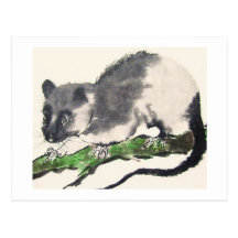 Ratte No. 09 * Rat * Ratten-Postkarten * Rat-Postc
