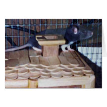 Rattus del EL del ábaco de Dracua Felicitacion