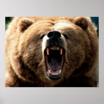 RAWR IMPRESIONES