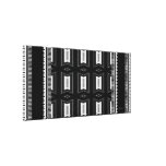 Raya blanca negra de la lona impresiones de lienzo