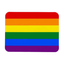 Raya de la bandera del arco iris del orgullo gay d imán de vinilo