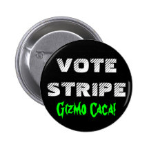 RAYA DEL VOTO PINS