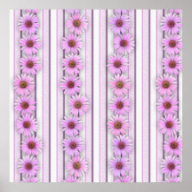 Rayas de la flor del Echinacea Poster