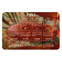 Rayo de sol en la ceniza de montaña; Calendario 20 Iman