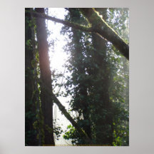 Rayos de Sun de la madrugada # 17 Posters