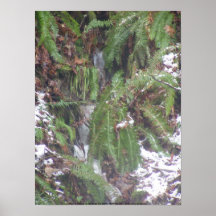 Rayos de Sun del bosque en la nieve #44 Impresiones