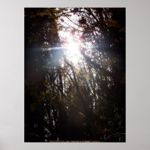 Rayos de Sun del otoño # 42 Poster