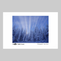 Rayos Nevado - foto del finalista 2005 del año posters