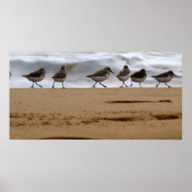 Raza Posters