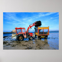 Recogida del estante de la playa del St Ouen Posters