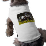 Reconstrucción de la guerra civil ropa de mascota