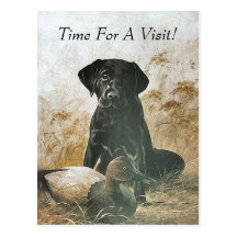 RECORDATORIO DEL VETERINARIO DEL TIEMPO DE LA CITA