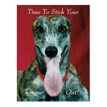 RECORDATORIO DEL VETERINARIO DEL TIEMPO DE LA CITA