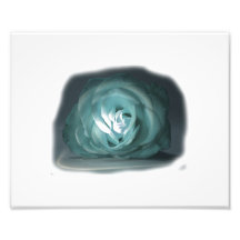 Recorte color de rosa azul claro de Spolighted Arte Fotográfico