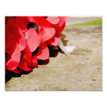 Recuerde Impresión Fotográfica