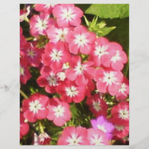 Recuerdos - presentación floral flyer personalizado