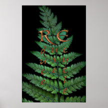 RECYLE, REUTILIZACIÓN, REDUCEN el poster del arte 