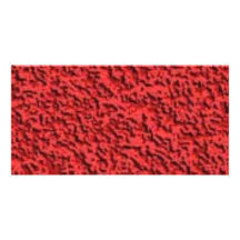 red030 tarjeta personal con foto