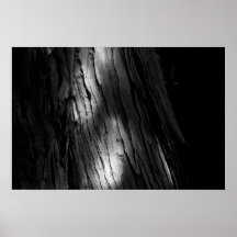 Reflejo de luz de B/W Poster