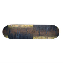 Reflexión abstracta de un bosque de madera dura en tabla de patinar