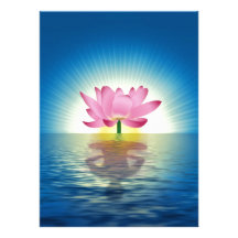 Reflexión de Lotus Anuncios