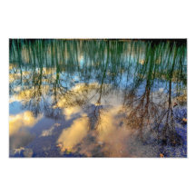 Reflexión del invierno impresiones fotográficas
