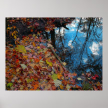 Reflexión del otoño, poster