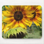 Reflexión Mousepad de los girasoles del verano Alfombrillas De Ratones