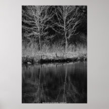 Reflexiones B&W del POSTER de Juan un Sylvester -…