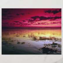 Reflexiones del cielo del verano, marea baja, Hunt Flyer A Todo Color
