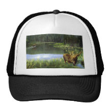Reflexiones del verano, alces gorros  