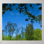 Reflexiones en la naturaleza posters