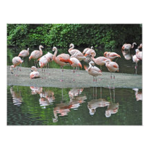 Reflexiones Impresion Fotografica