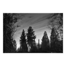 Reflexiones surrealistas impresión fotográfica