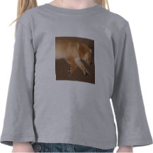 REGALO CAMISETA