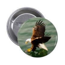Regalo de motivación calvo de Eagle Pin