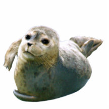 Regalo esculpido fauna linda del sello de puerto escultura fotografica