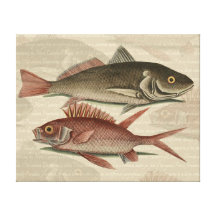 regalo rojo del pescador del vintage de la perca d impresión de lienzo