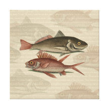 regalo rojo del pescador del vintage de la perca d impresiones de lienzo