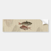 regalo rojo del pescador del vintage de la perca d pegatina de parachoque
