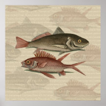 regalo rojo del pescador del vintage de la perca d impresiones