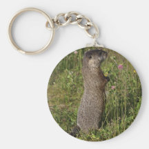 Regalos Amarillo-Hinchados de la marmota Llaveros