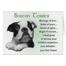 Regalos de Boston Terrier Tarjetón