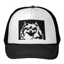 Regalos de Pomeranian - gorra