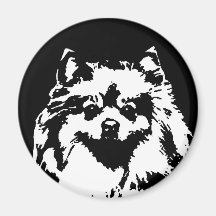 Regalos de Pomeranian - imán