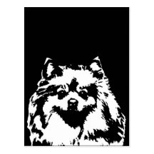 Regalos de Pomeranian - postal