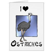 ¡Regalos del amante de las avestruces! ¡Diseño de  Tarjetas