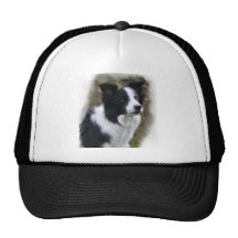 Regalos del arte del border collie gorros bordados