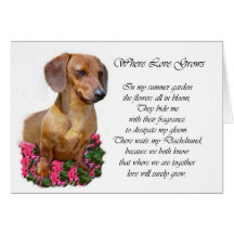 Regalos del arte del Dachshund Tarjeton