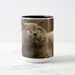 Regalos del destino tazas